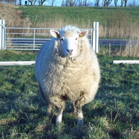 Feriehus Poelig Tating